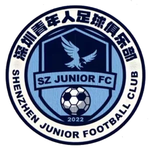 深圳青年人 深圳青年人